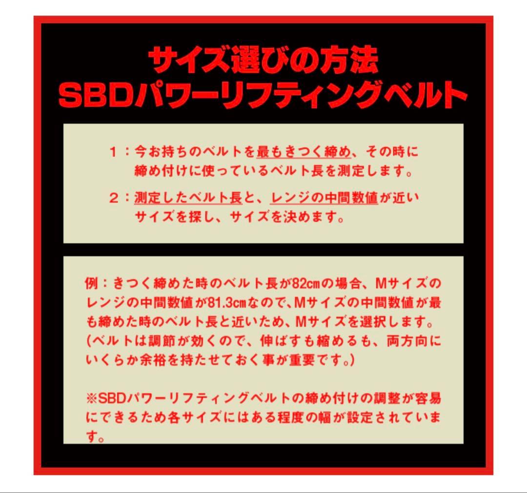【完売品】【美品】SBD パワーリフティングベルト10mm M グレーForge