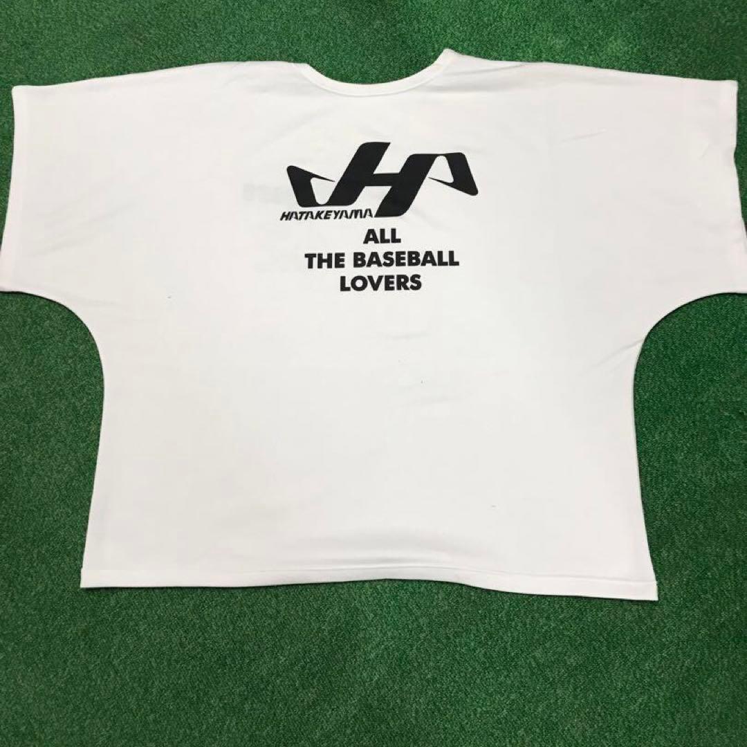 元阪神タイガース 下柳投手#42 ハタケヤマ アフタートレーナー