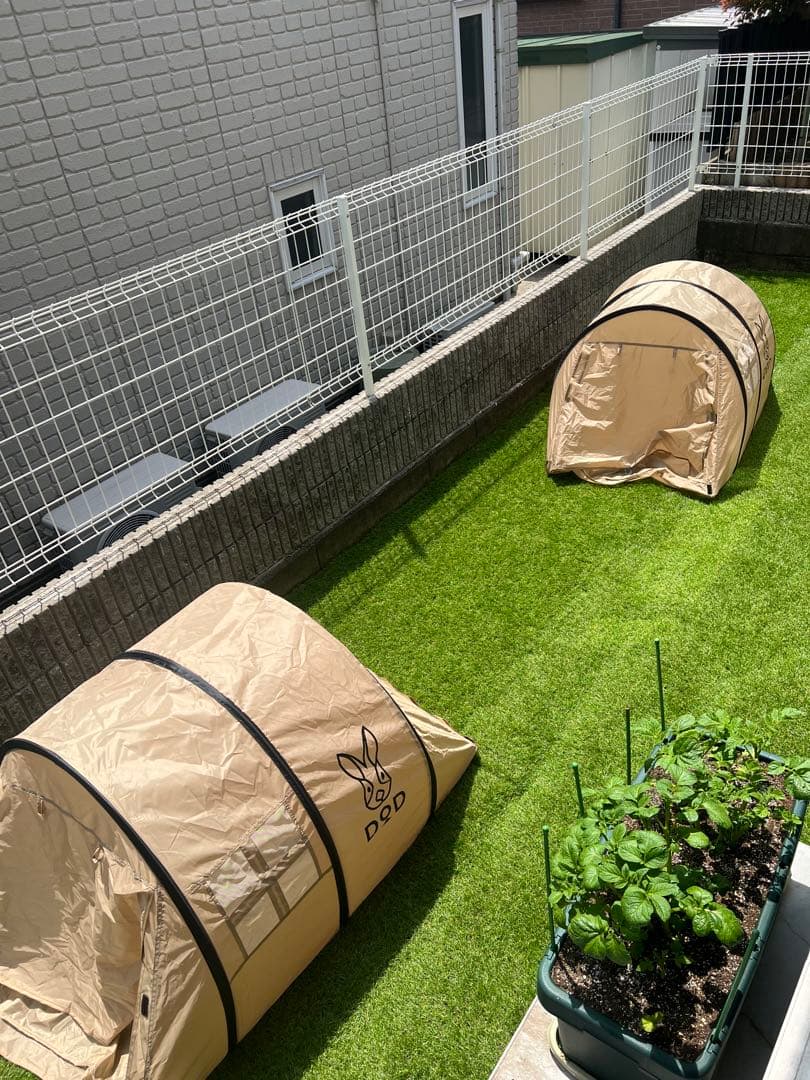 DOD カマボコテントベビー