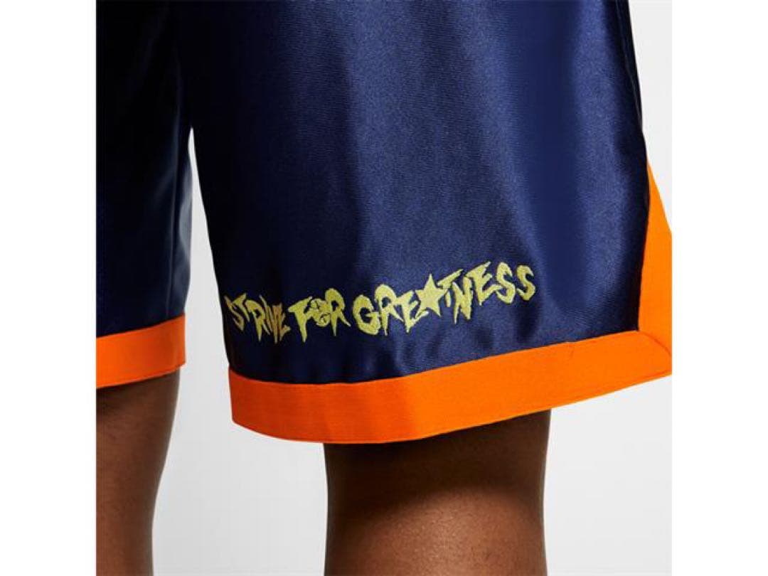 ウェア NIKE AS LEBRON MONSTARS DNA GAME SHORTS
