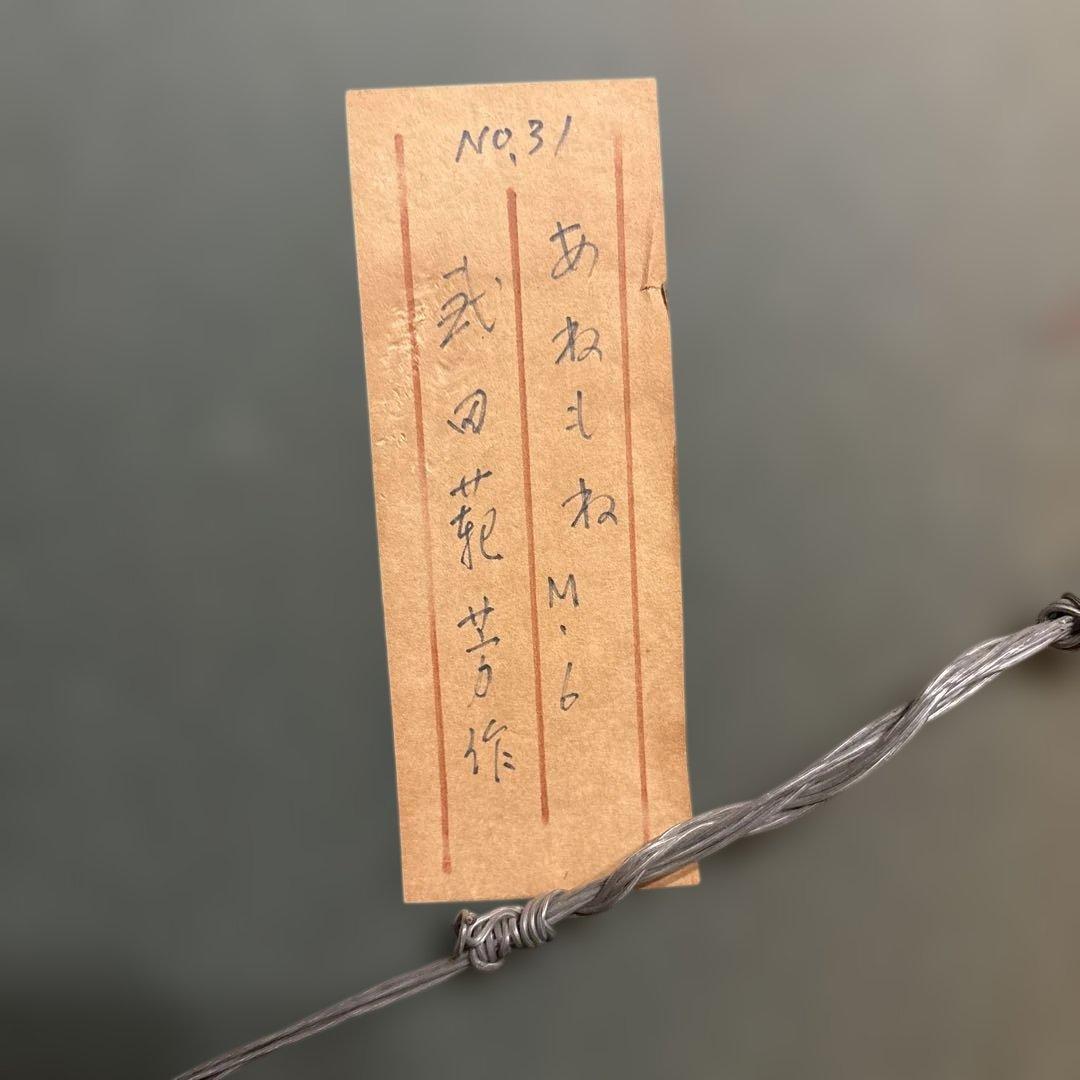 あねもね M6 武田範芳 作