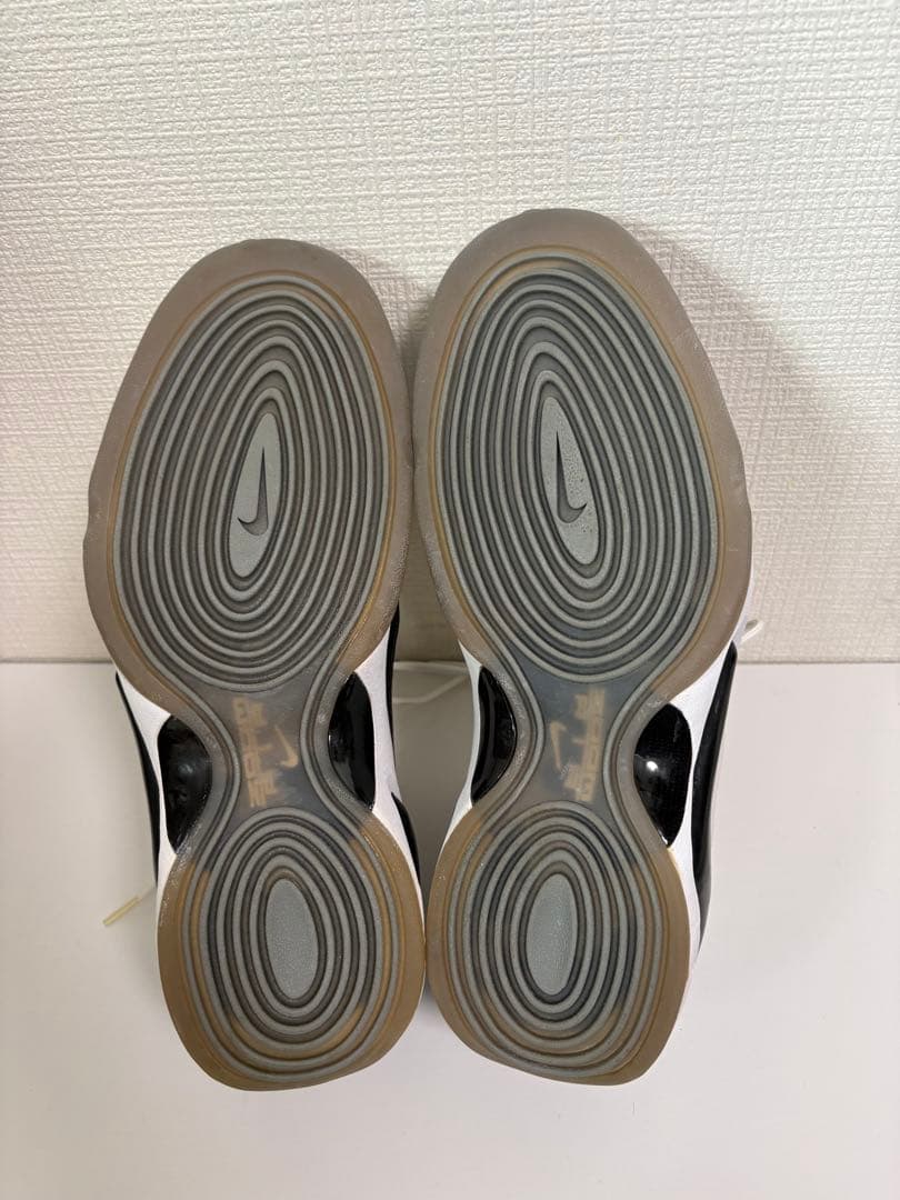 シューズ(男性用) NIKE AIR ZOOM FLIGHT 96 GRAY GRADATION