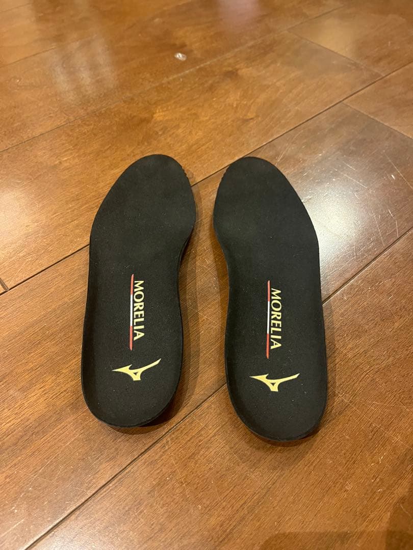 [超美品] MIZUNO モレリア2 JAPAN 23.0cm