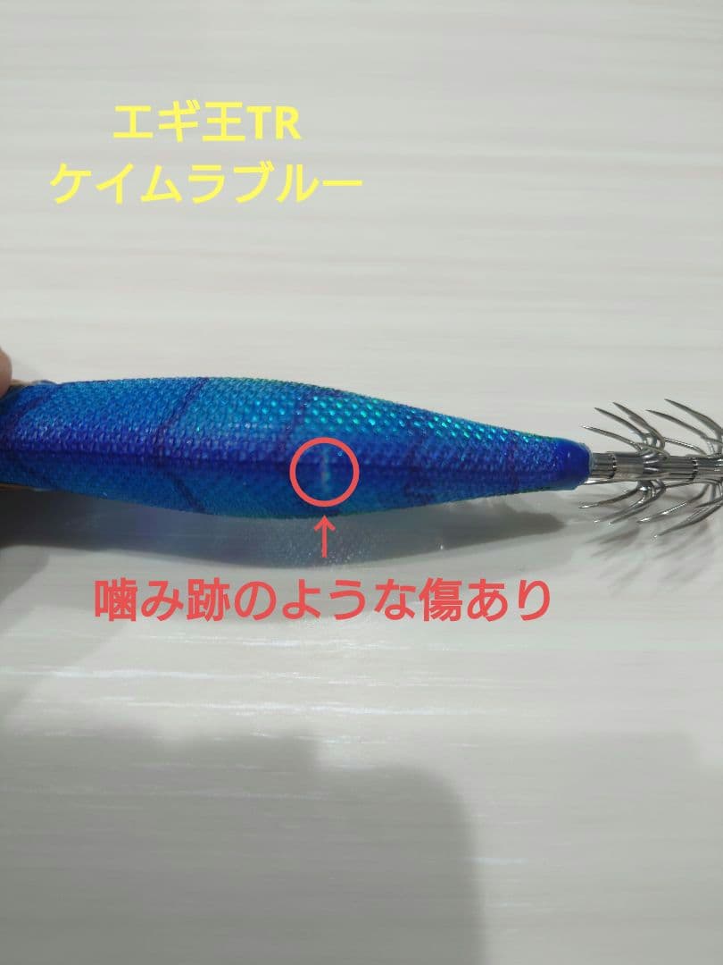 ティップランエギ&シンカーセット