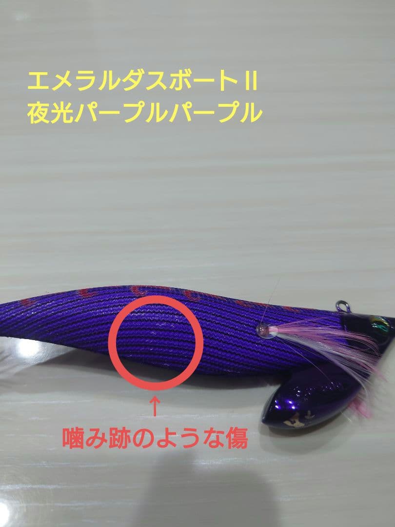 ティップランエギ&シンカーセット