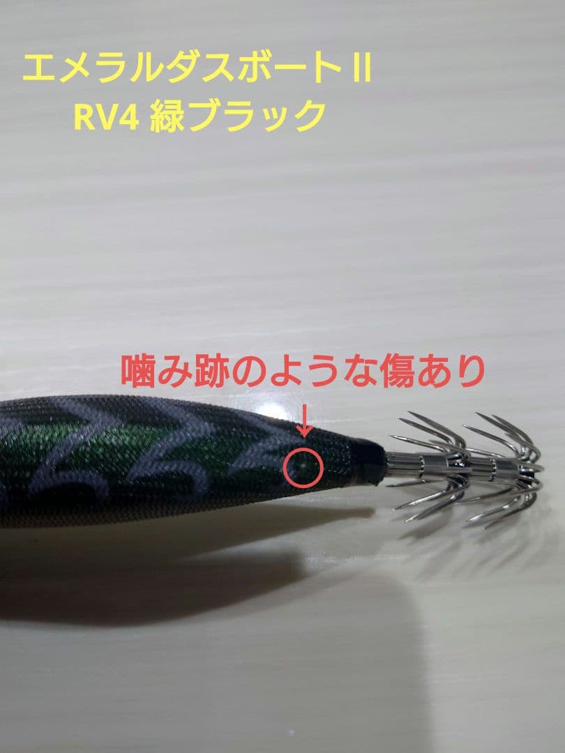 ティップランエギ&シンカーセット