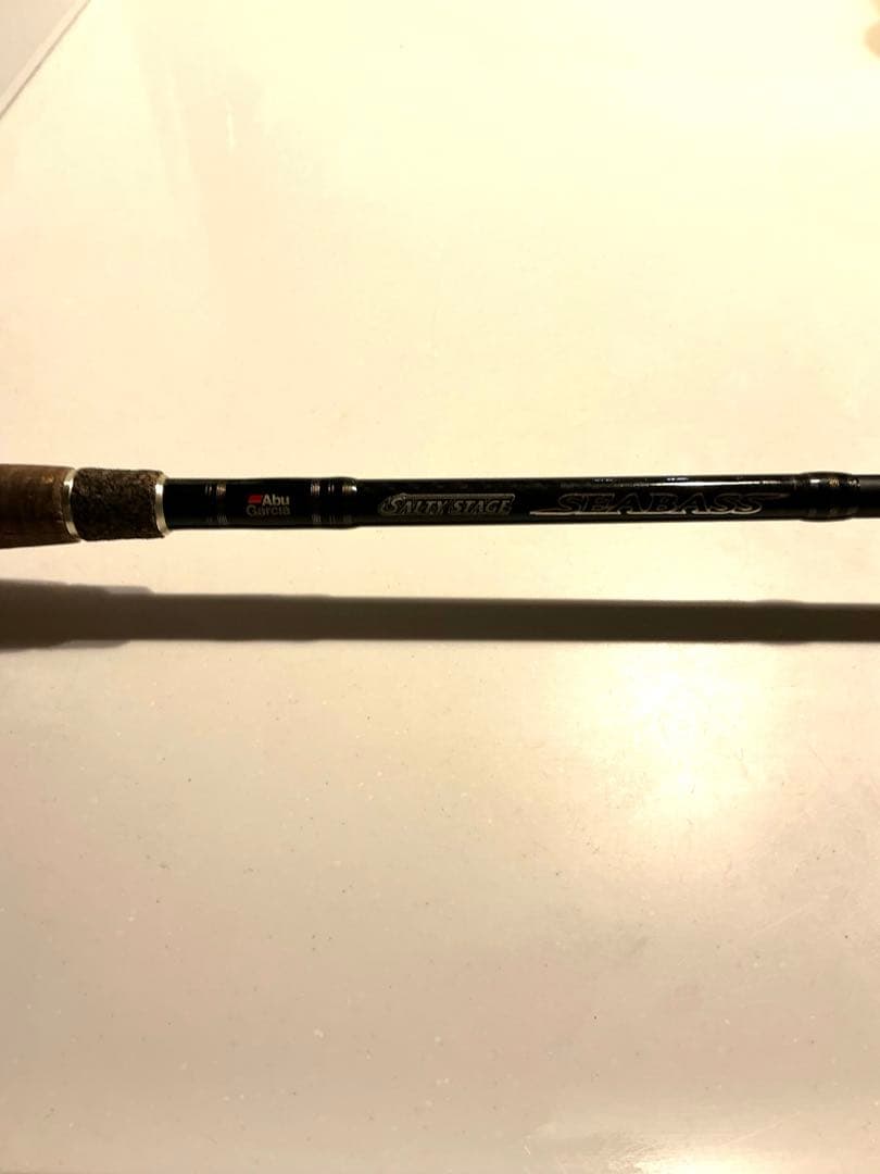 アブガルシアSALTYSTAGE SEABASS スピニングロッド　セット