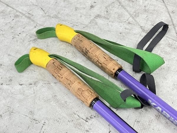 FISCHER E99 バックカントリー スキー 板 フィッシャー ストックつき