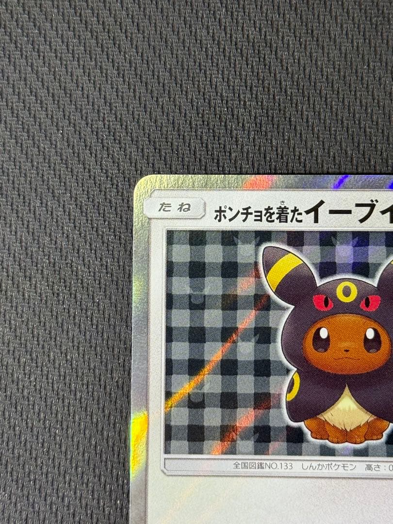 ポンチョを着たイーブイ 141/SM-P