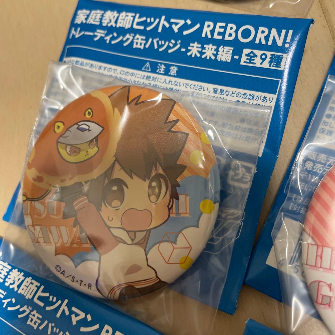 【全9種コンプ】家庭教師ヒットマンREBORN！トレーディング缶バッジ　未来編