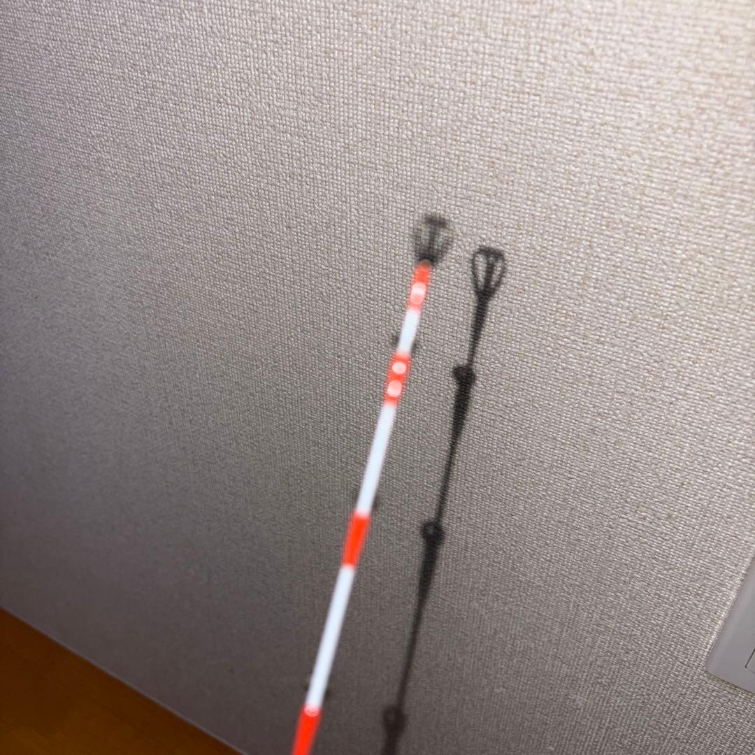 ダイワ 瞬鋭カワハギ EX S-172 / 船竿 daiwa 釣具