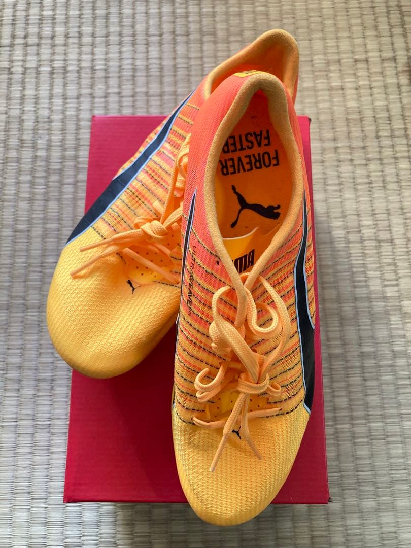 evoSPEED BRUSH 6 24.0cm 金具スパイク