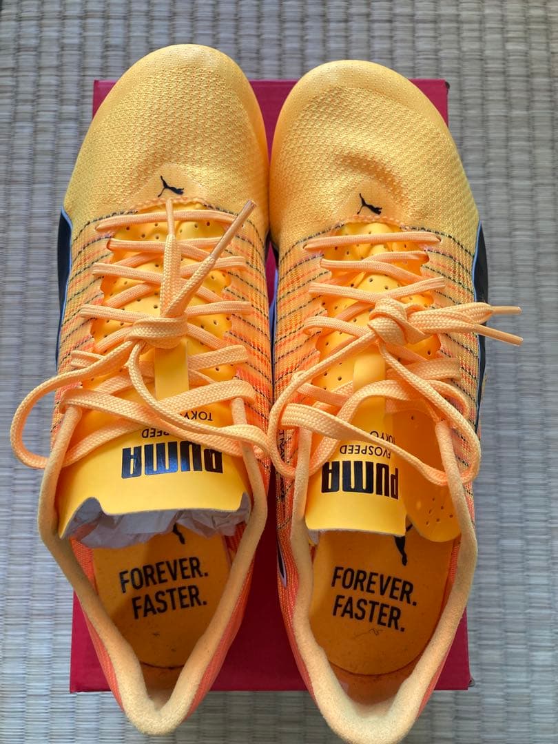 evoSPEED BRUSH 6 24.0cm 金具スパイク