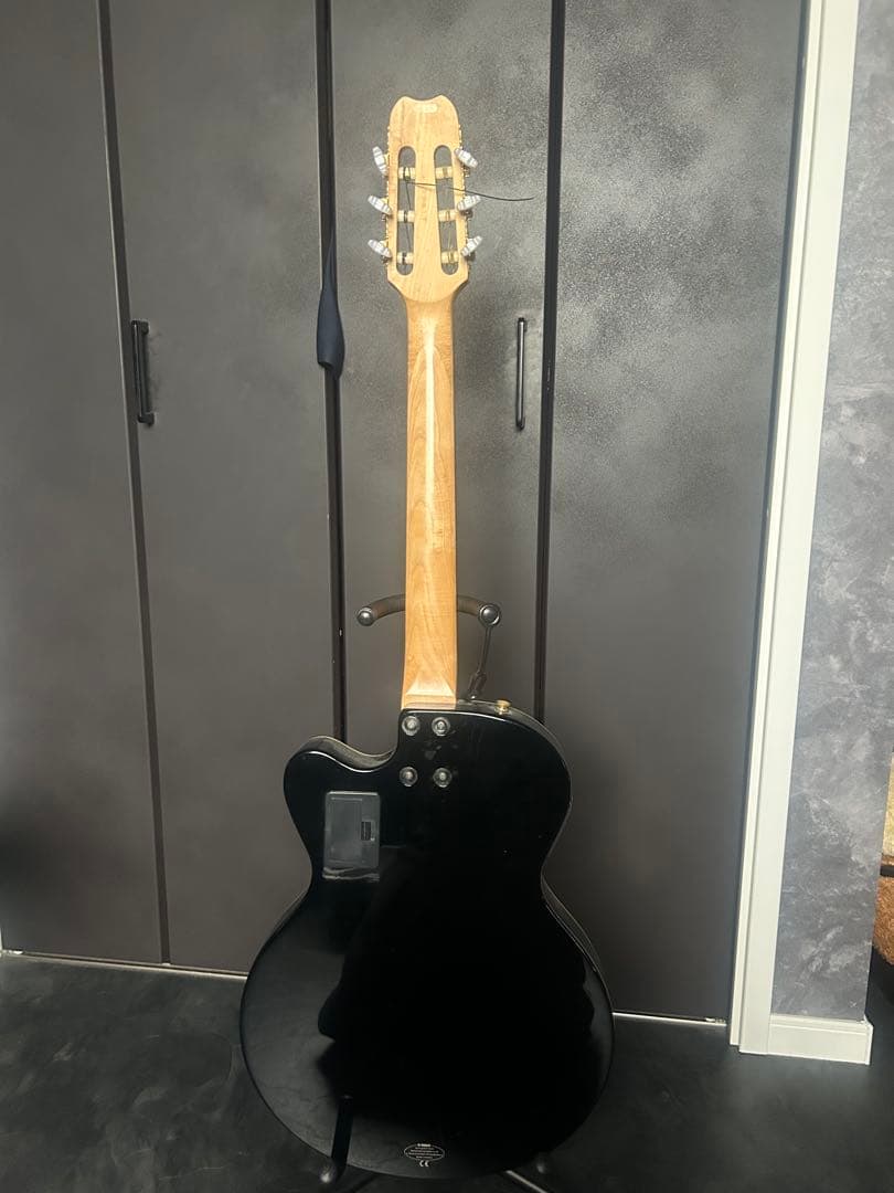 Yamaha AEX500N エレガット　ジャンク
