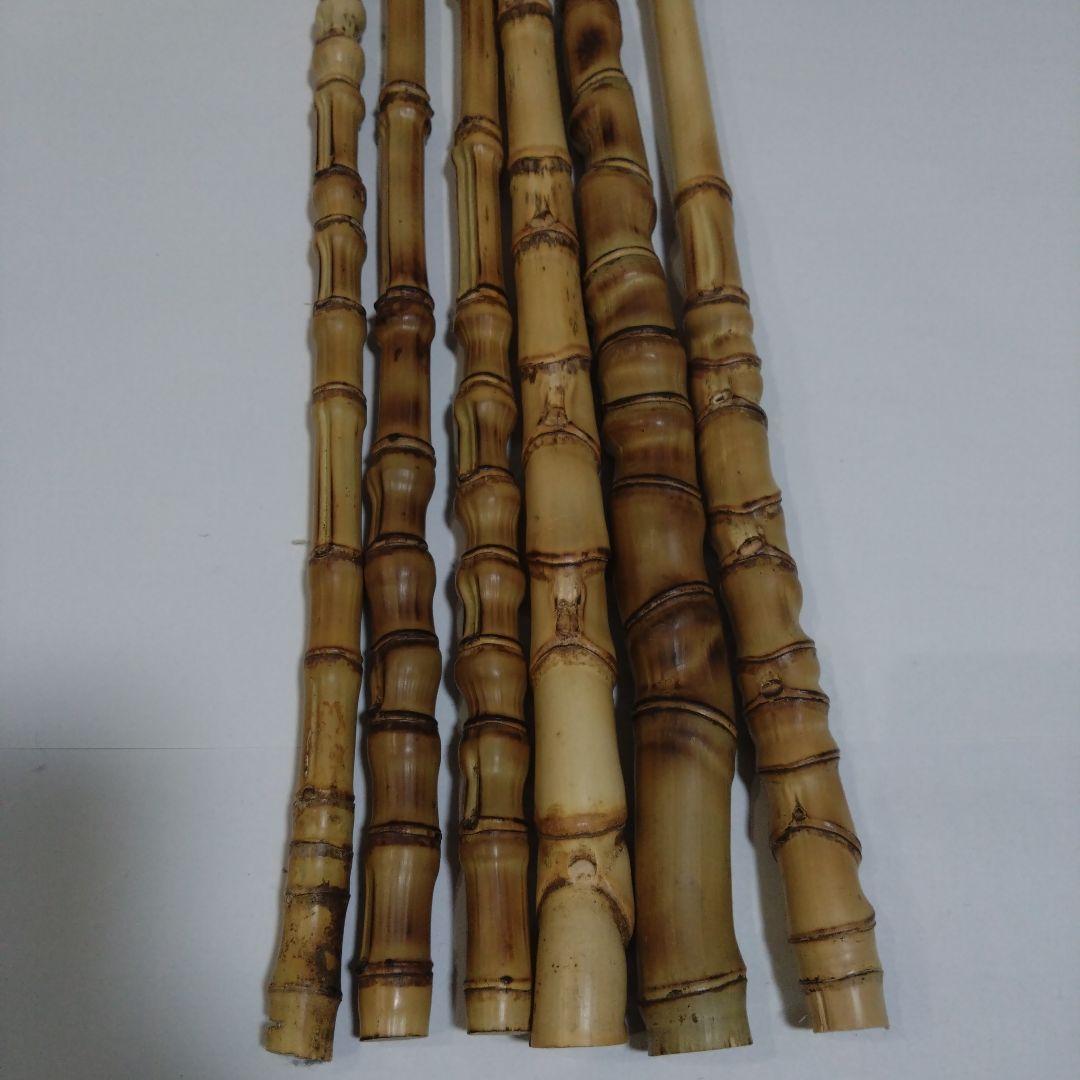 布袋竹(細め)長さ49〜56cm6本セット　釣り具・その他グリップ素材に①