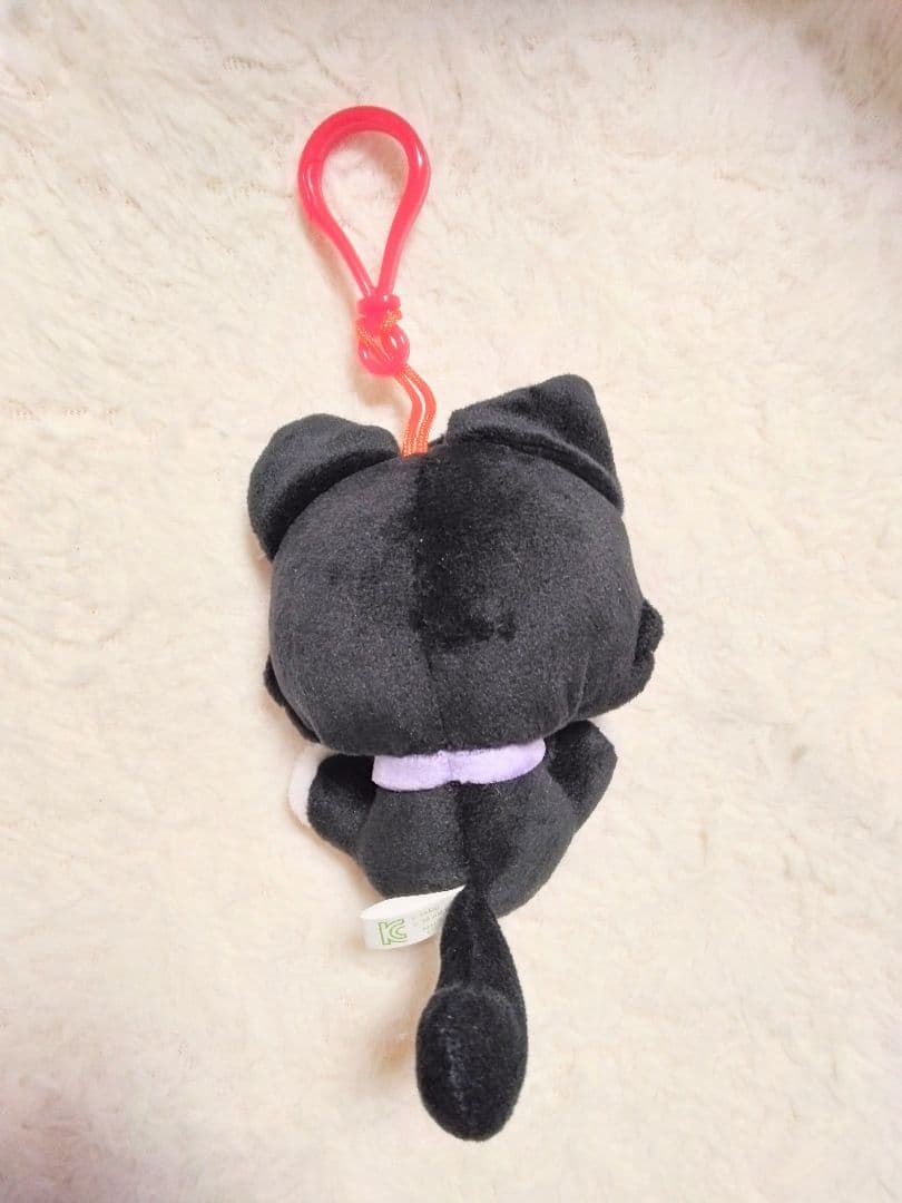 ✮⋆新品 未使用 wishcat リク 4点 nctwish ウィッシュキャット