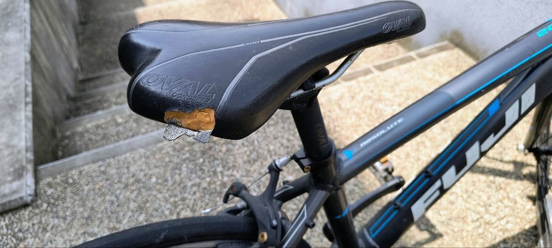 Fuji Ace20 キッズ自転車 グレー/青