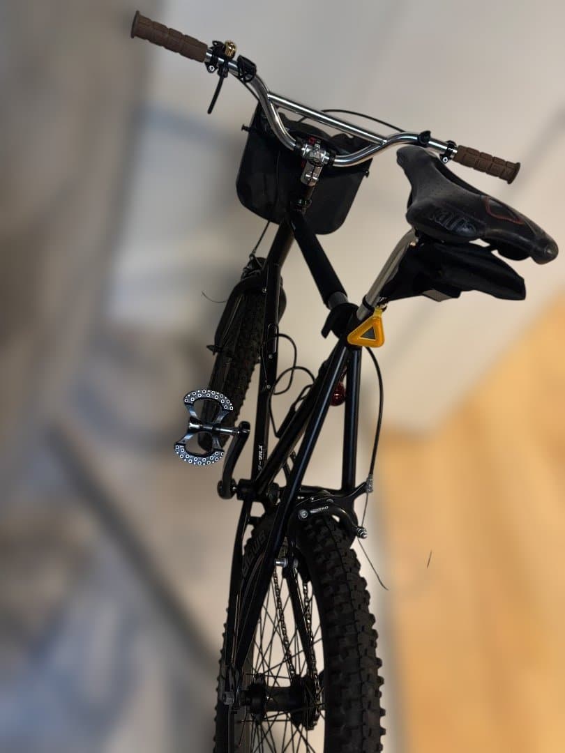 ARES BIKES OUVER ホリゾンタル（グラベル+BMX仕様）