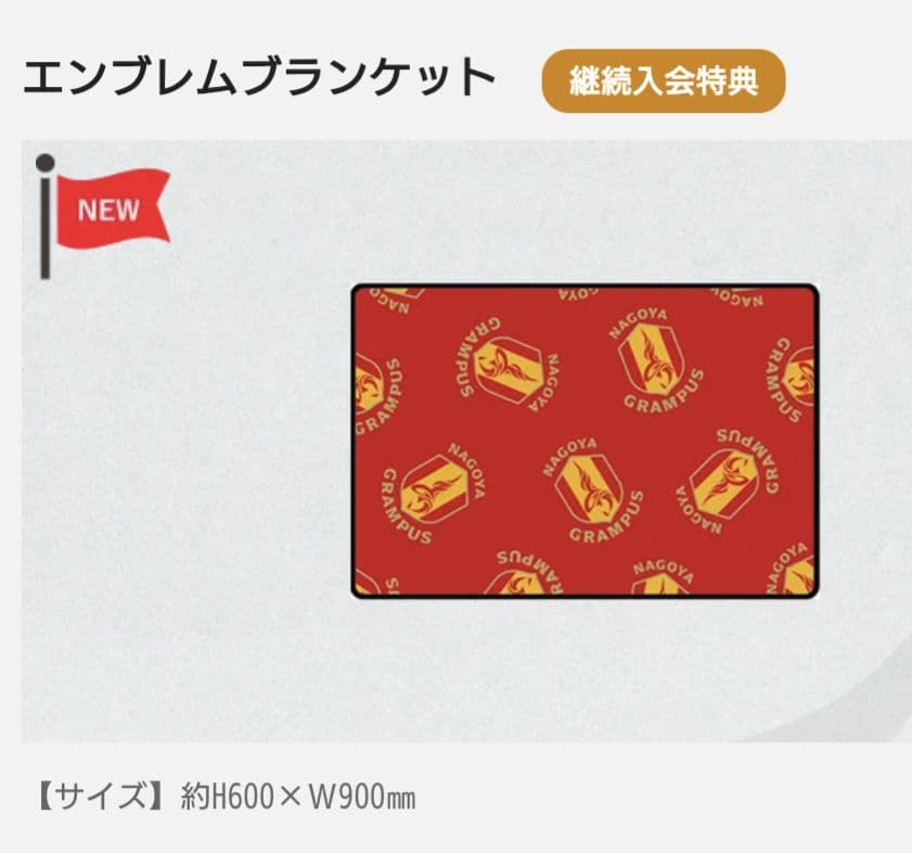 名古屋グランパス 2026　プラチナ　ファンクラブ特典　グランパス　ボトル