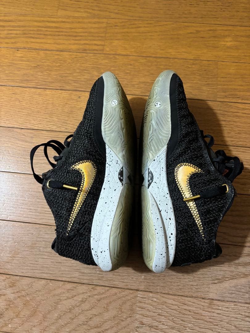 Nike LeBron 20（ナイキ レブロン 20）