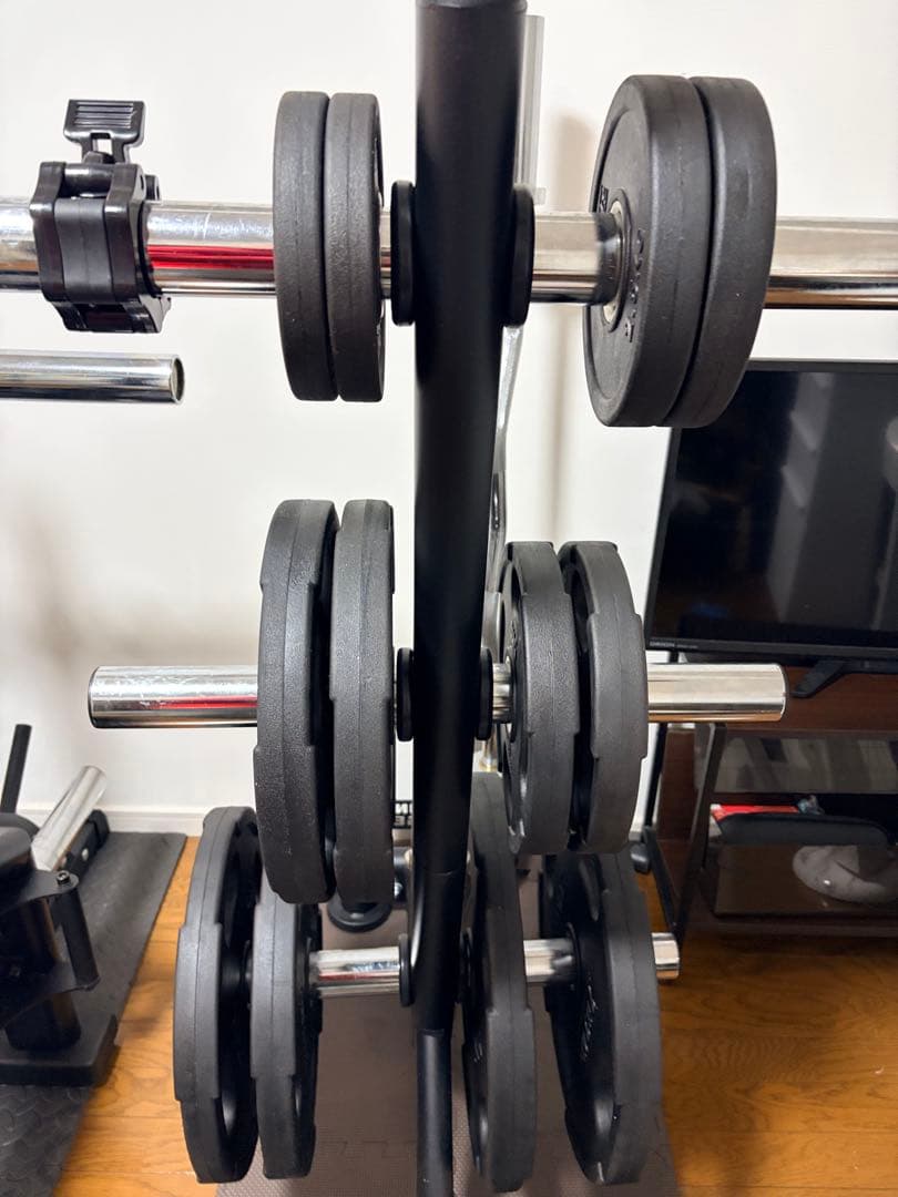 LEADING EDGE プレートラック 300kg 耐荷重