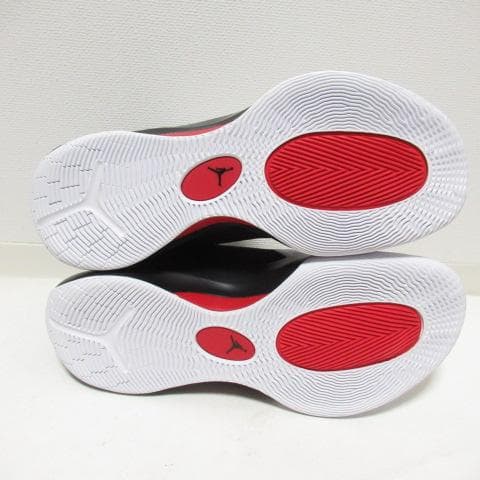 NIKE ジョーダン ズーム セパレート PF 27.5cm