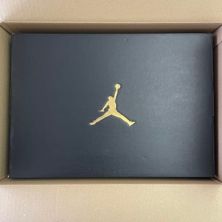 Nike Air Jordan 12 Low Golf Playoffs 26㎝