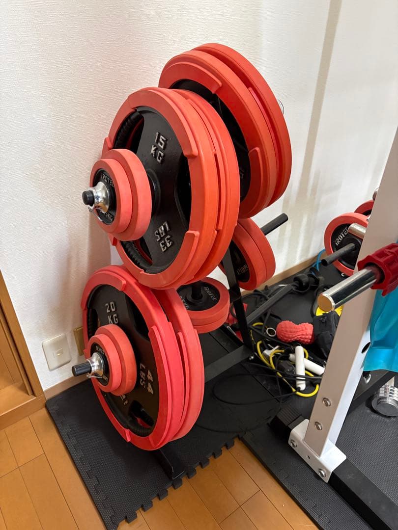 パンダ　【引き取り限定】筋トレ器具