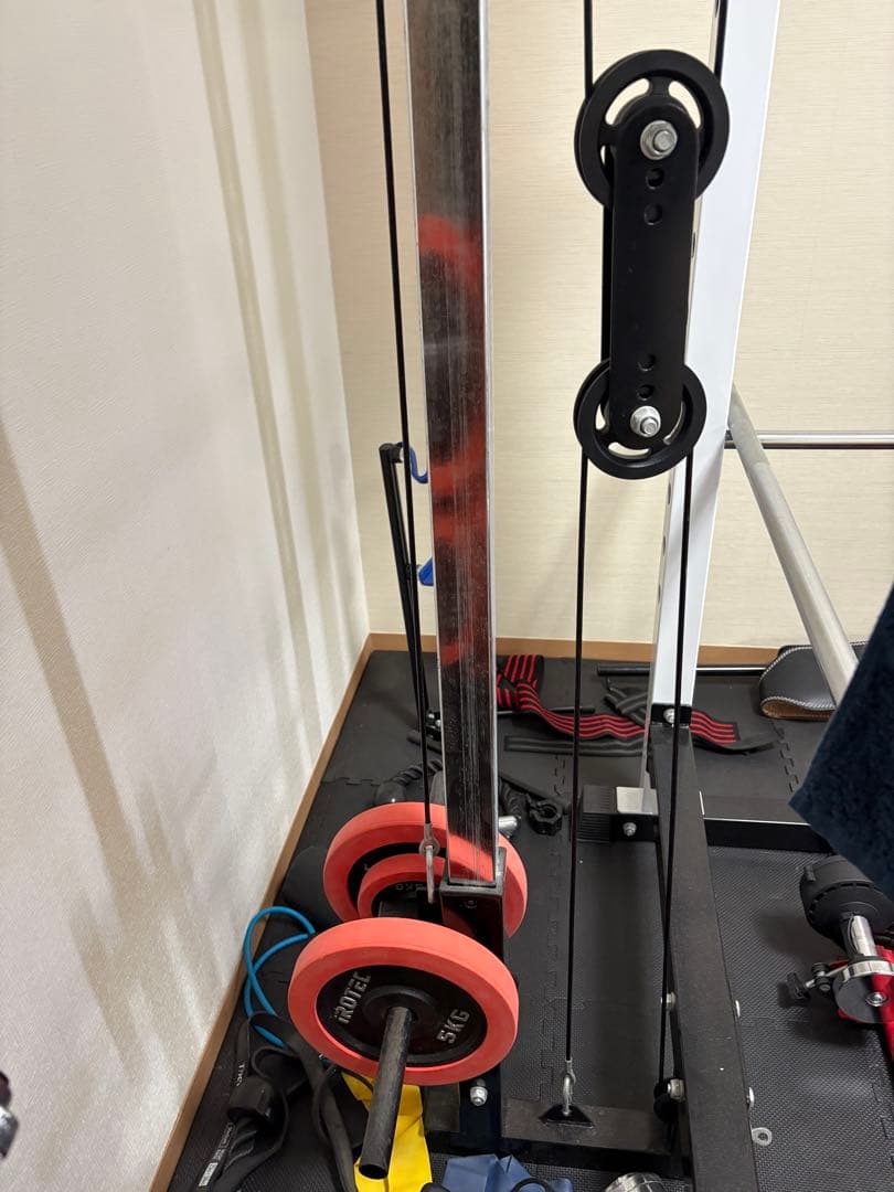 パンダ　【引き取り限定】筋トレ器具