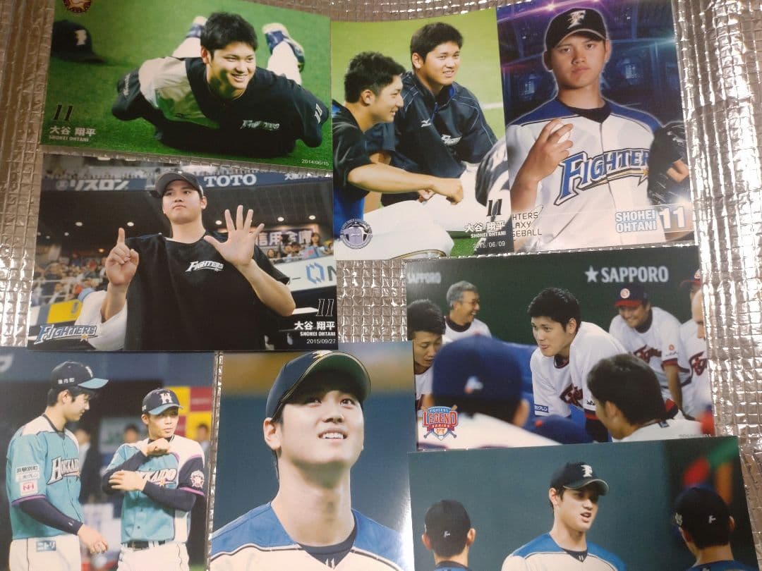 大谷翔平 ハイライトフォト 球団公式写真 ⑧ 10枚セット 日本ハム