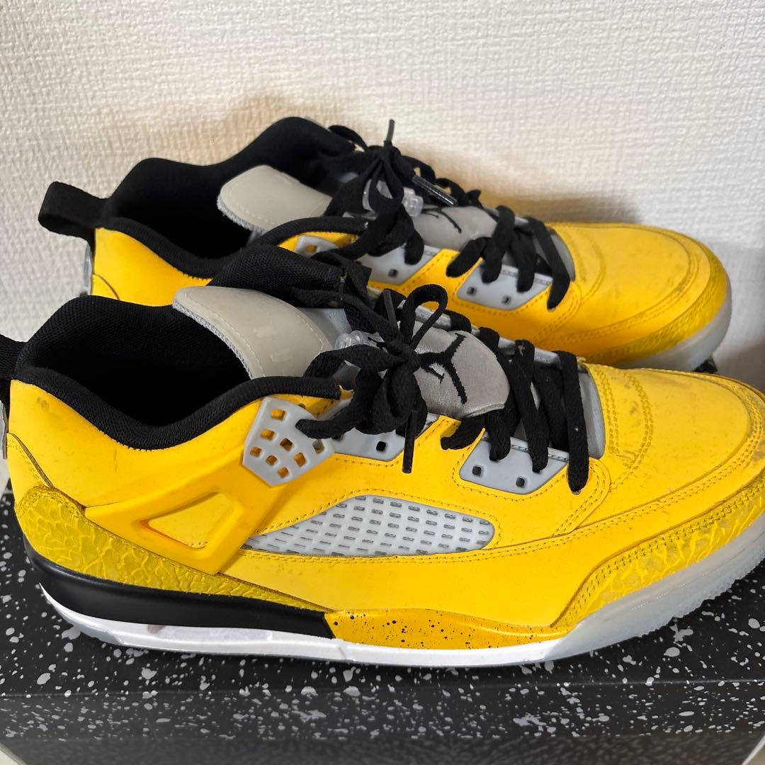 シューズ(男性用) jordan spizike low