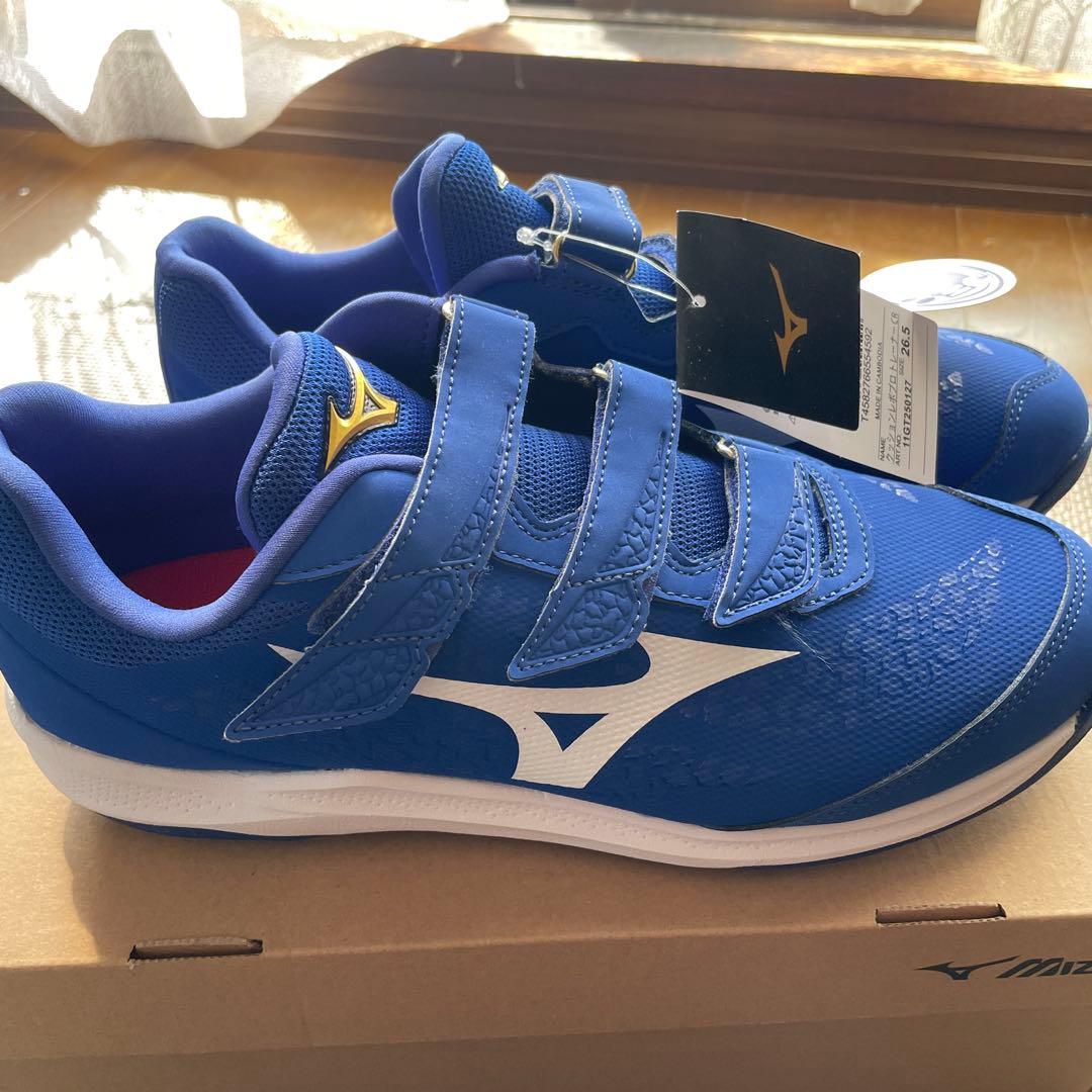 Mizuno Proトレーニングシューズ 青