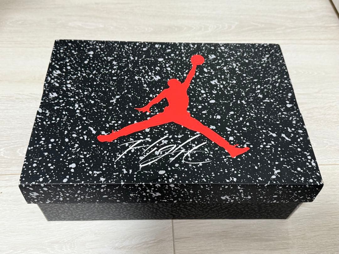 シューズ(男性用) JORDAN SPIZIKE LOW 28.5cm FQ1759-106