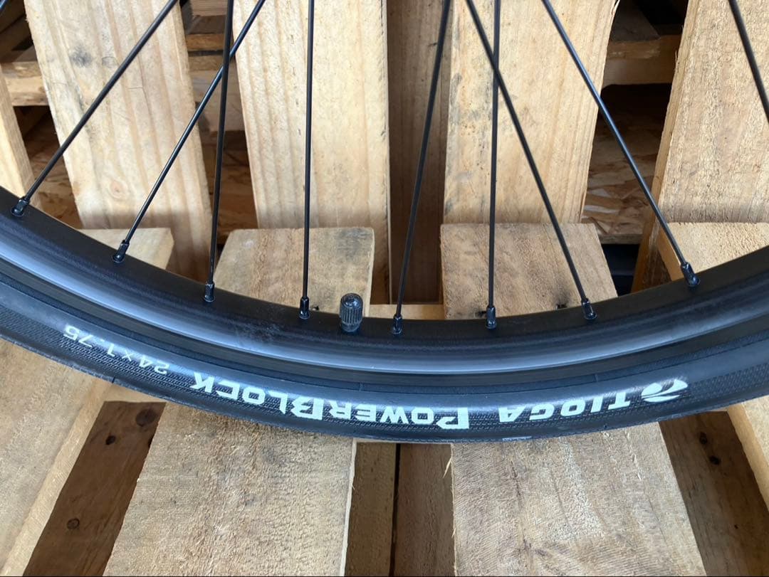 未使用 WETHEPEOPLE ATLUS BMX 24インチ