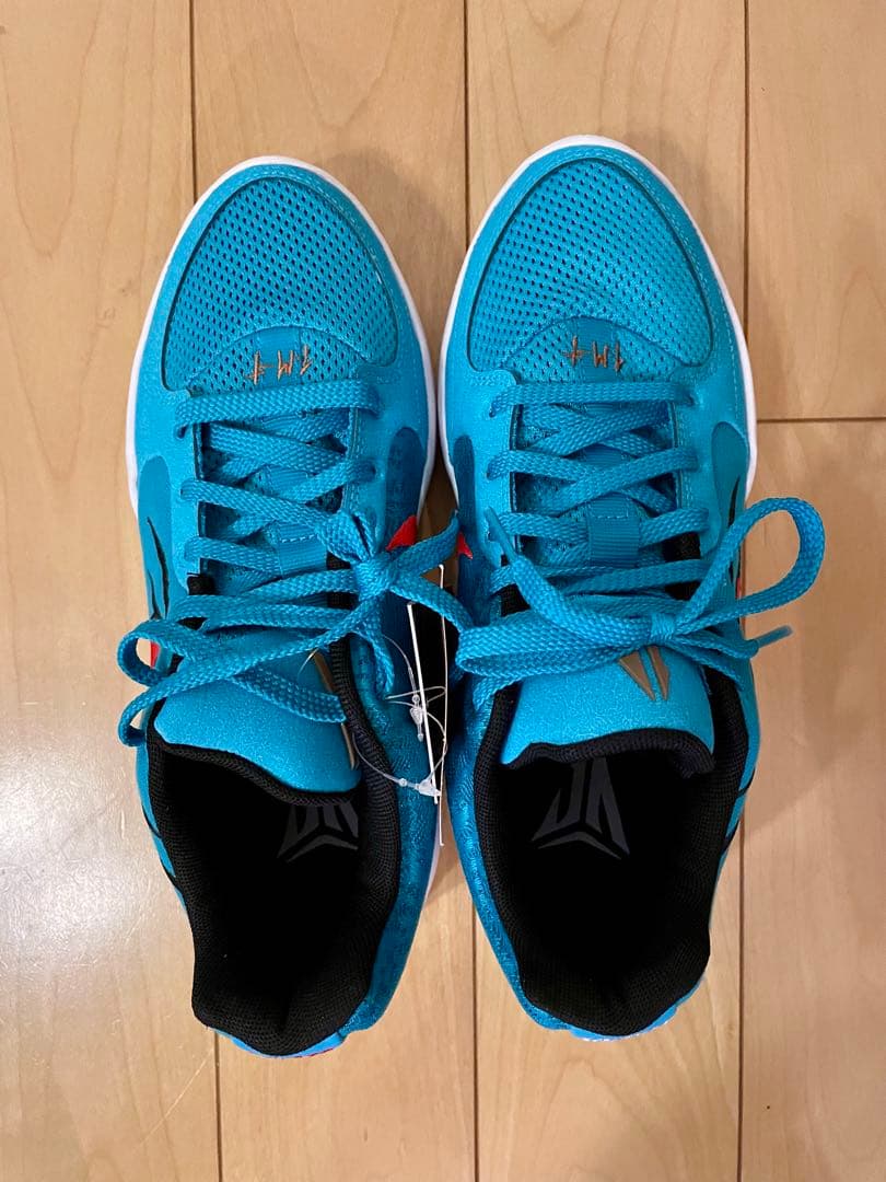 NIKE、JA2、スクラッチ、25センチ