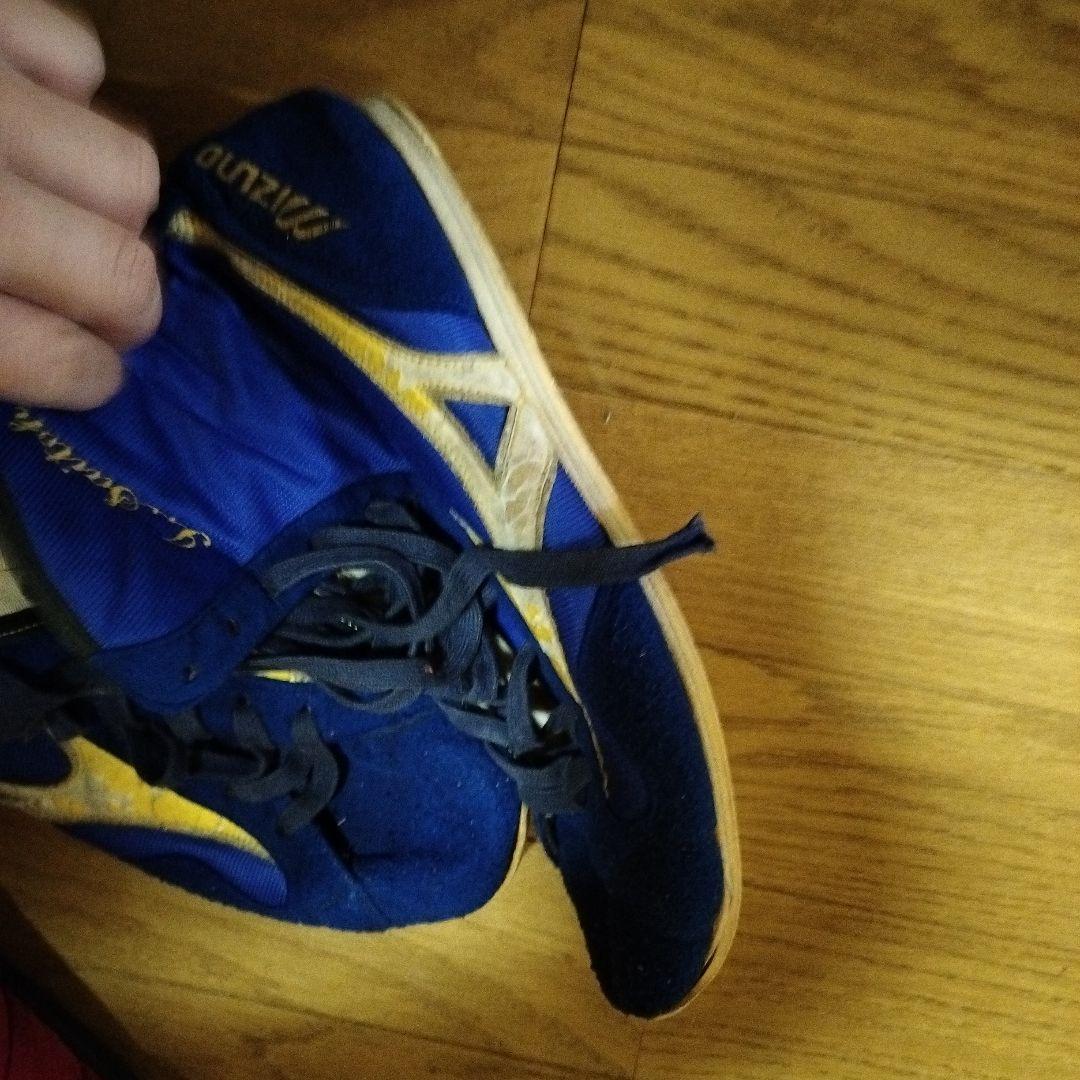 ガチンコ ファイトクラブ　2期生 斉藤一平のMizuno ボクシングシューズ 青