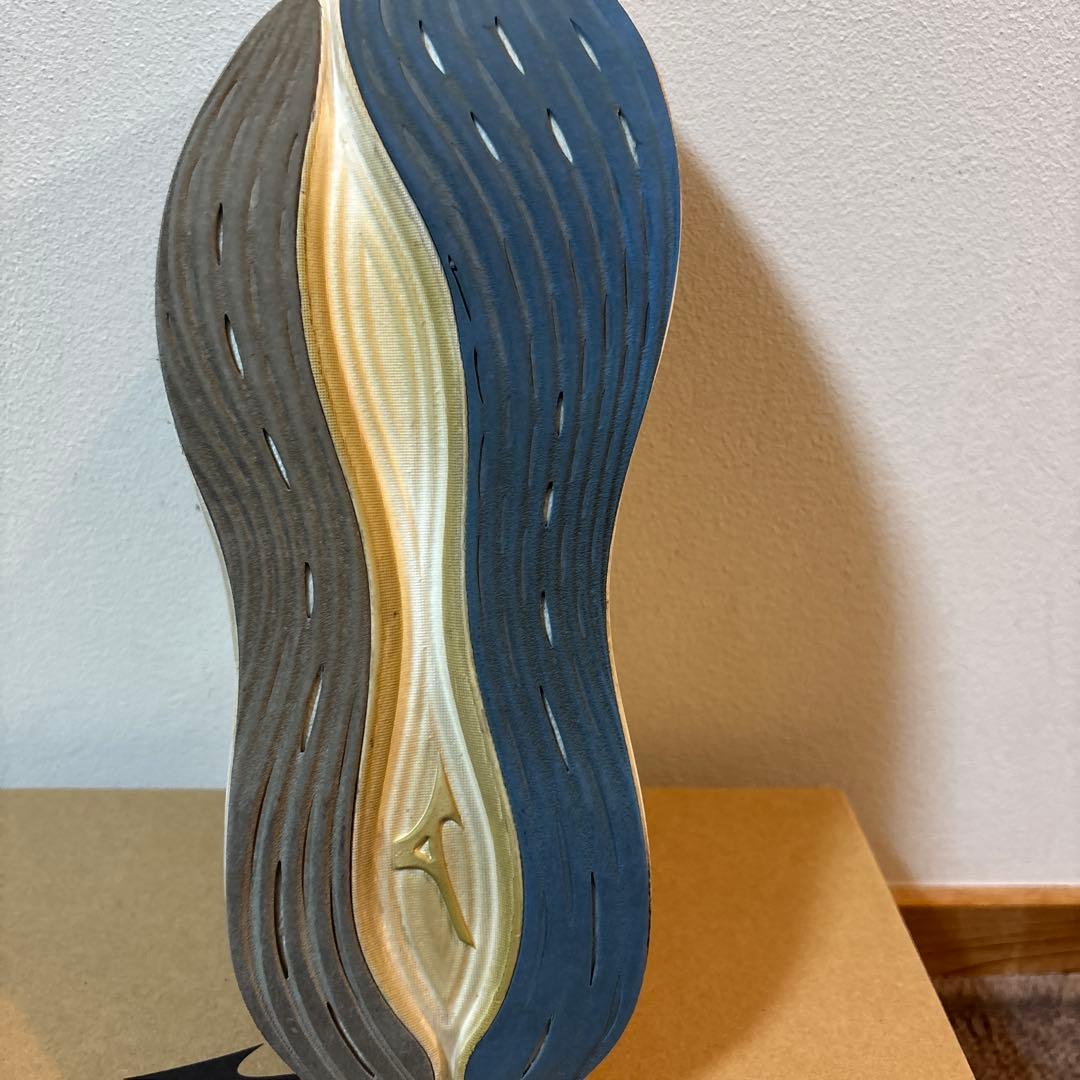 Mizuno ネオゼン26.5cm