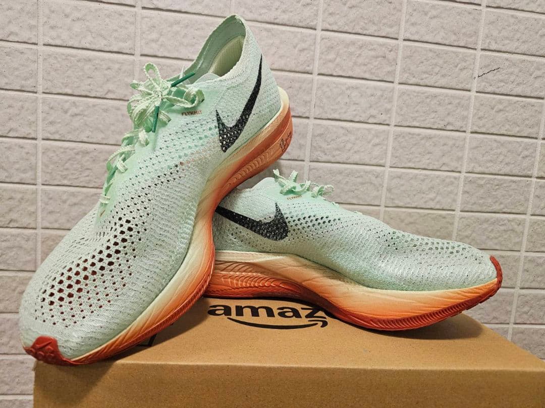 Nike ヴェイパーフライ3 30cm (13US)