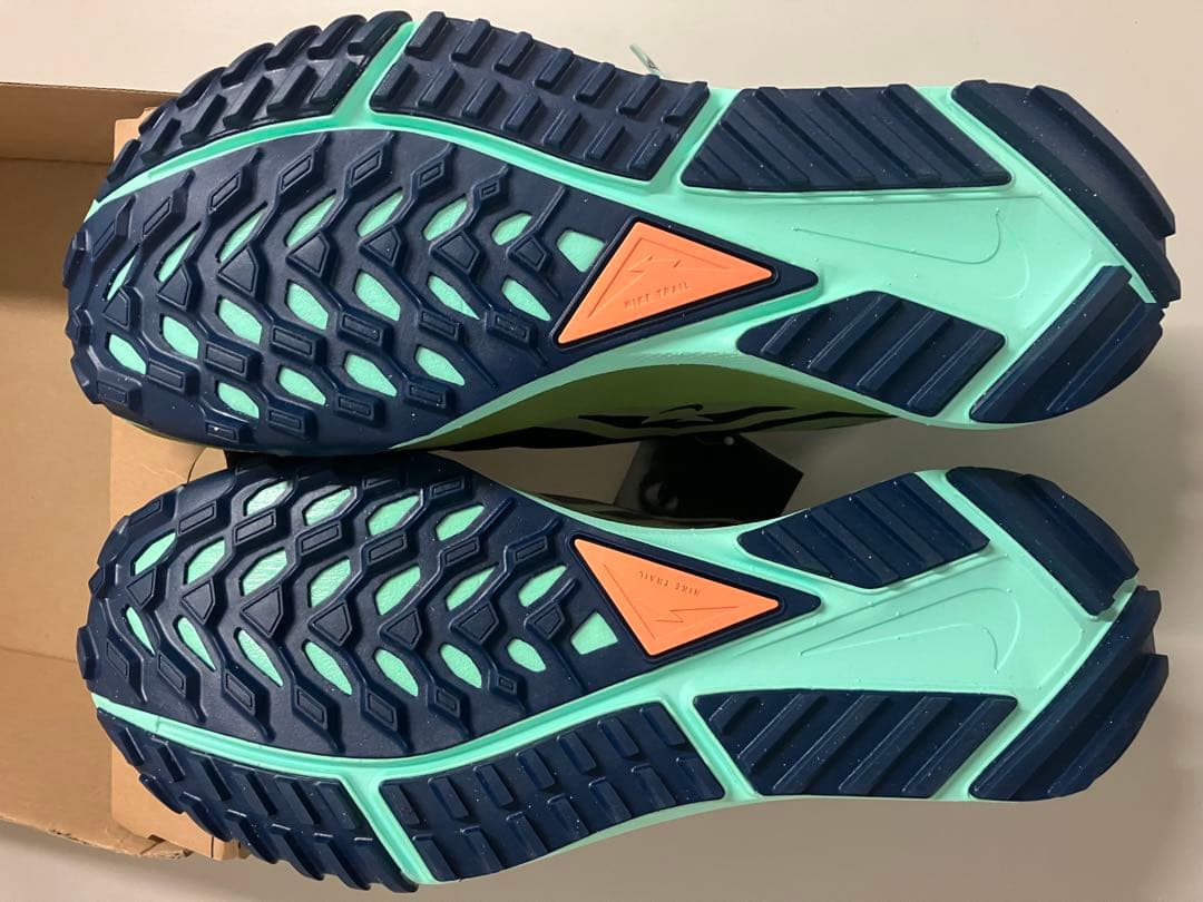 Nike REACT PEGASUS trail4 最終出品。