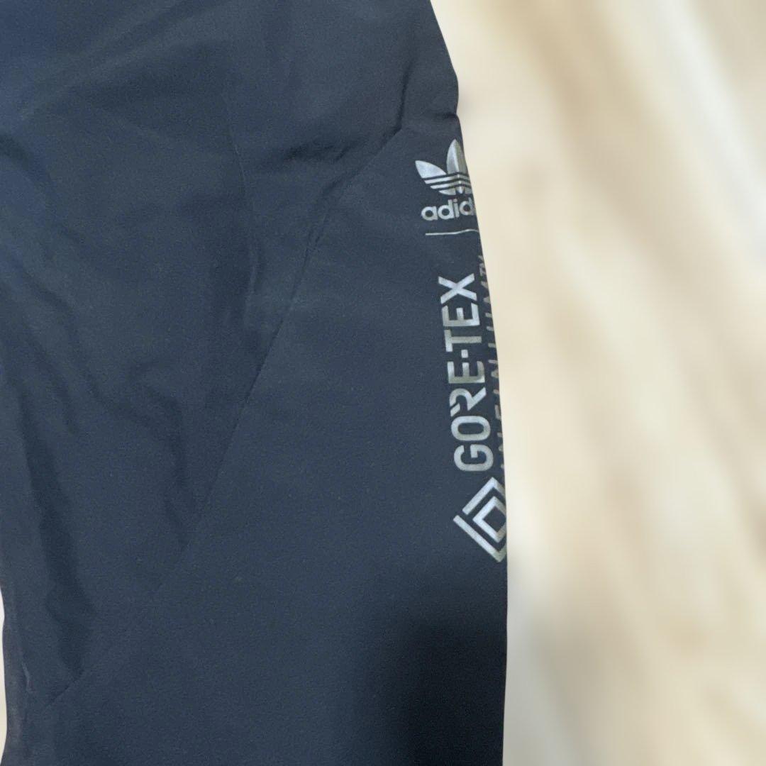 GORE-TEX InfiniumパンツPT3 PANTS IN アディダス防寒