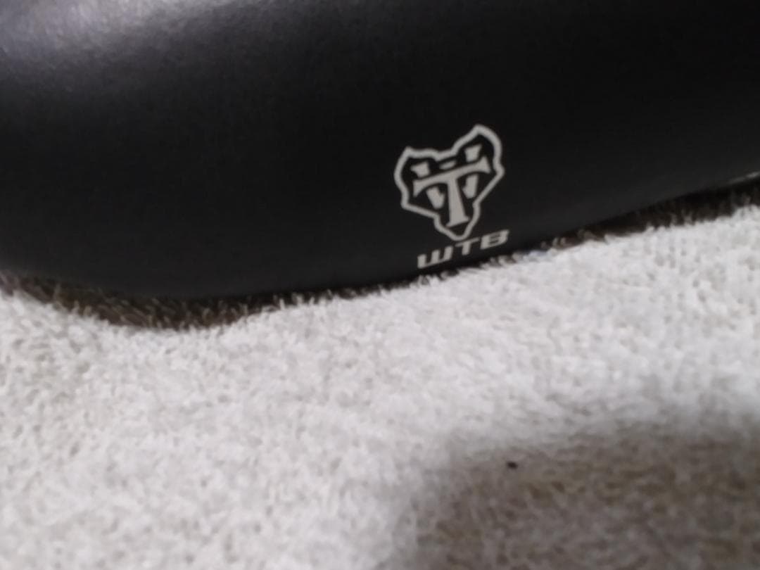 WTB SST サドル