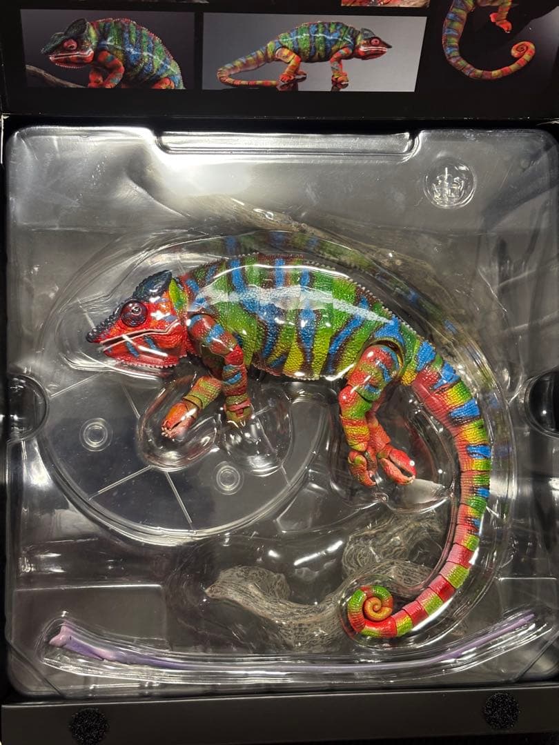 いきもの大図鑑プレミアム/パンサーカメレオン(アンビローブ・グリーン) 開封品