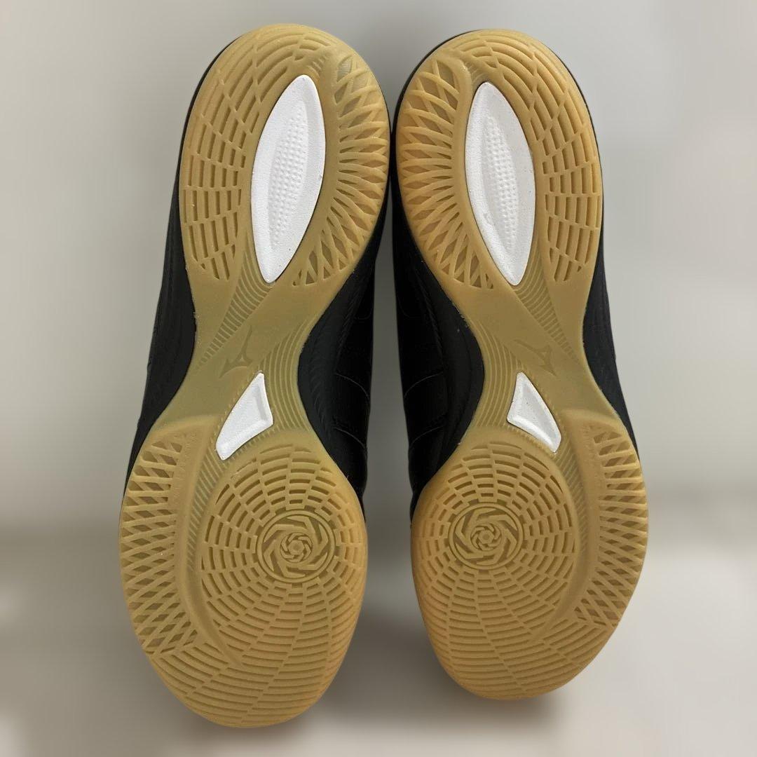 し*も様 Mizuno Morelia モレリア サラ