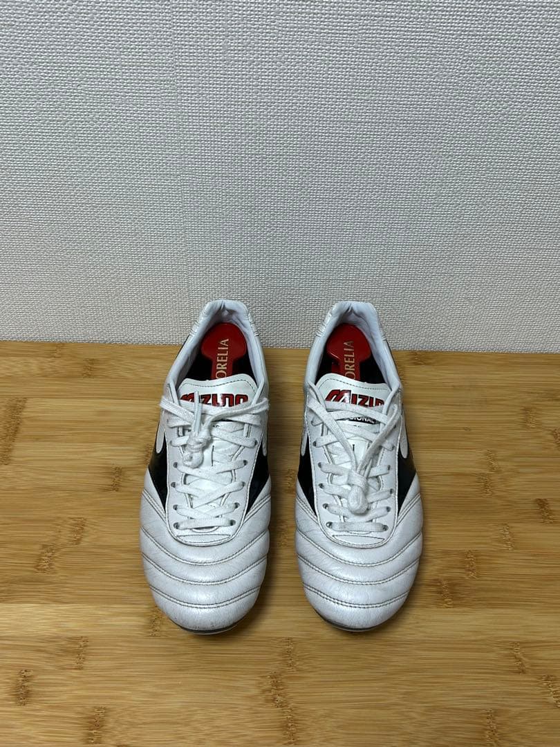 モレリア2Japanシューズキーパーと袋付き