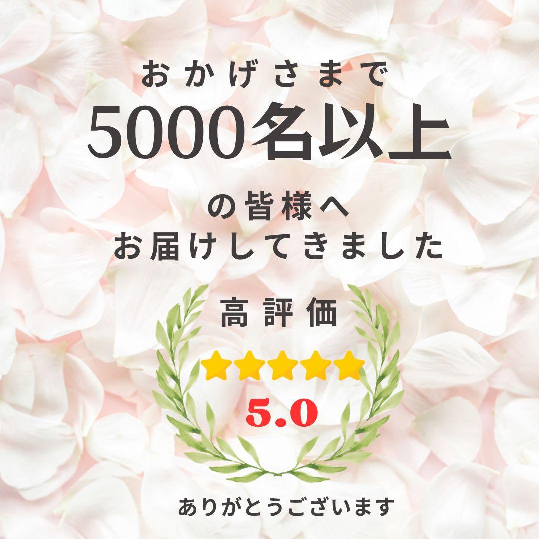【光触媒フラワー】ローズとピオニーの陶器アレンジ｜上品なピンクの枯れない花