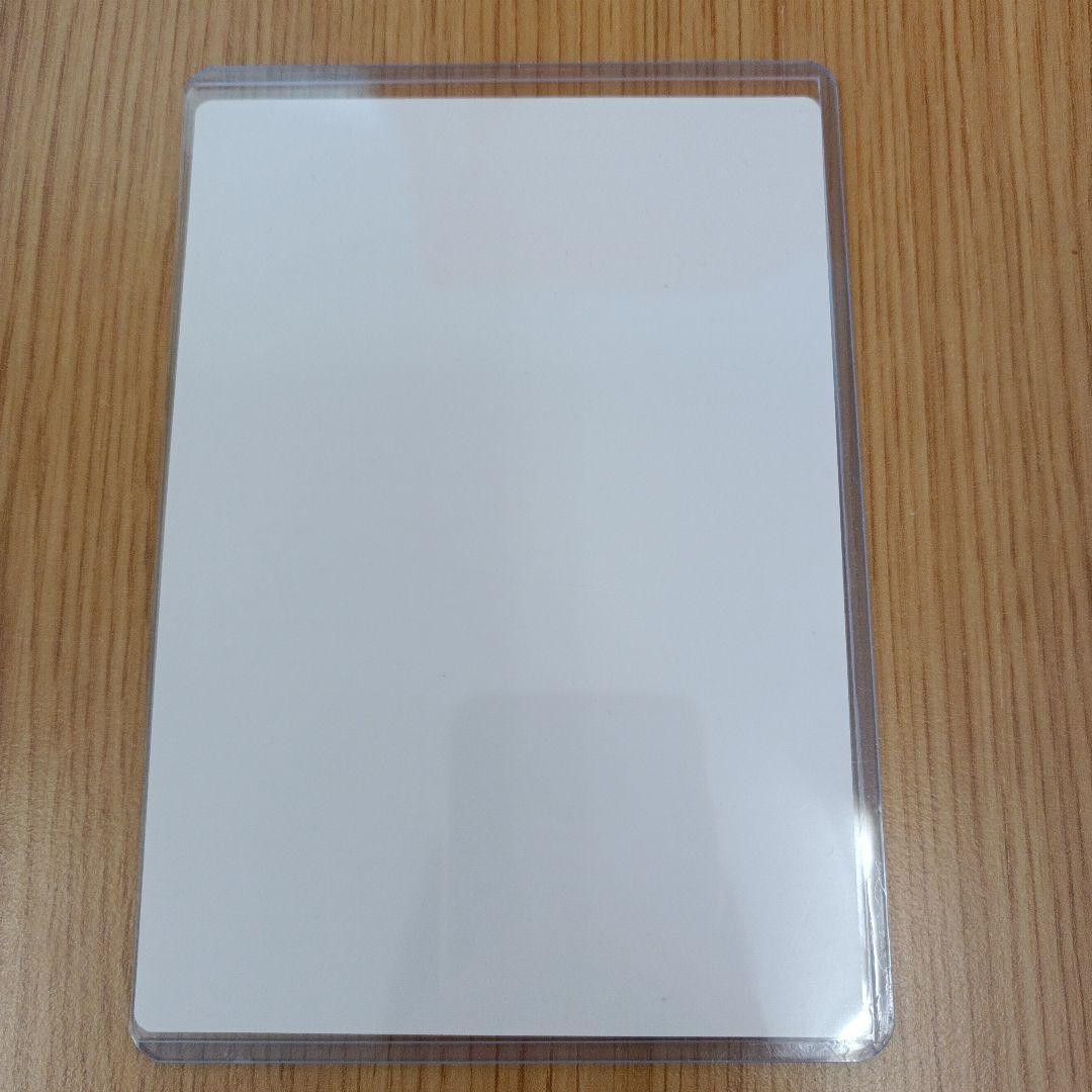 sizebook×乃木恋 コラボキャンペーン当選品 白石麻衣