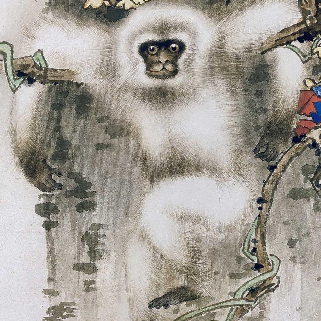 四尺中堂 中国花鳥画 田世光 紅葉白猿図 掛軸 証書付