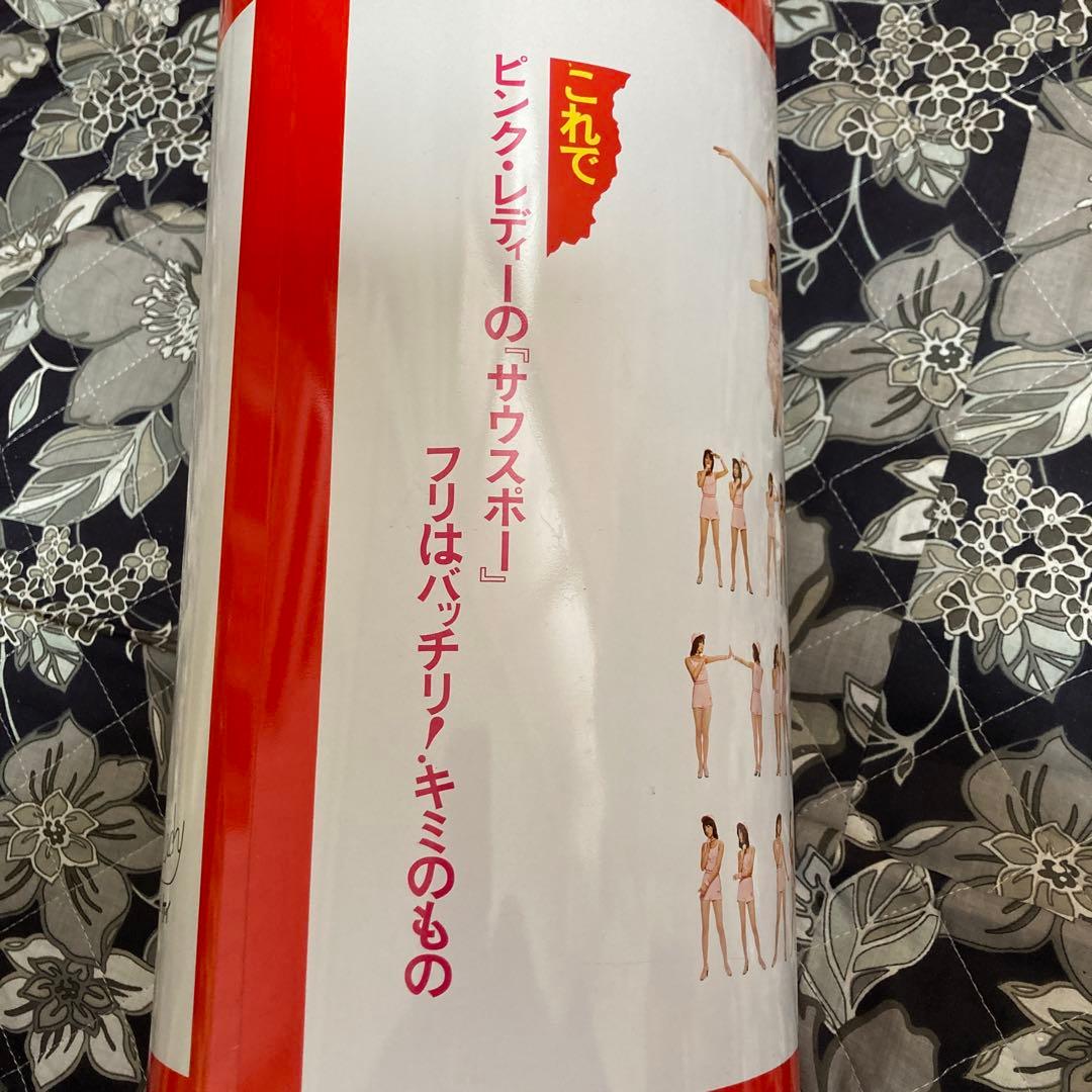 ピンクレディ　ゴミ箱