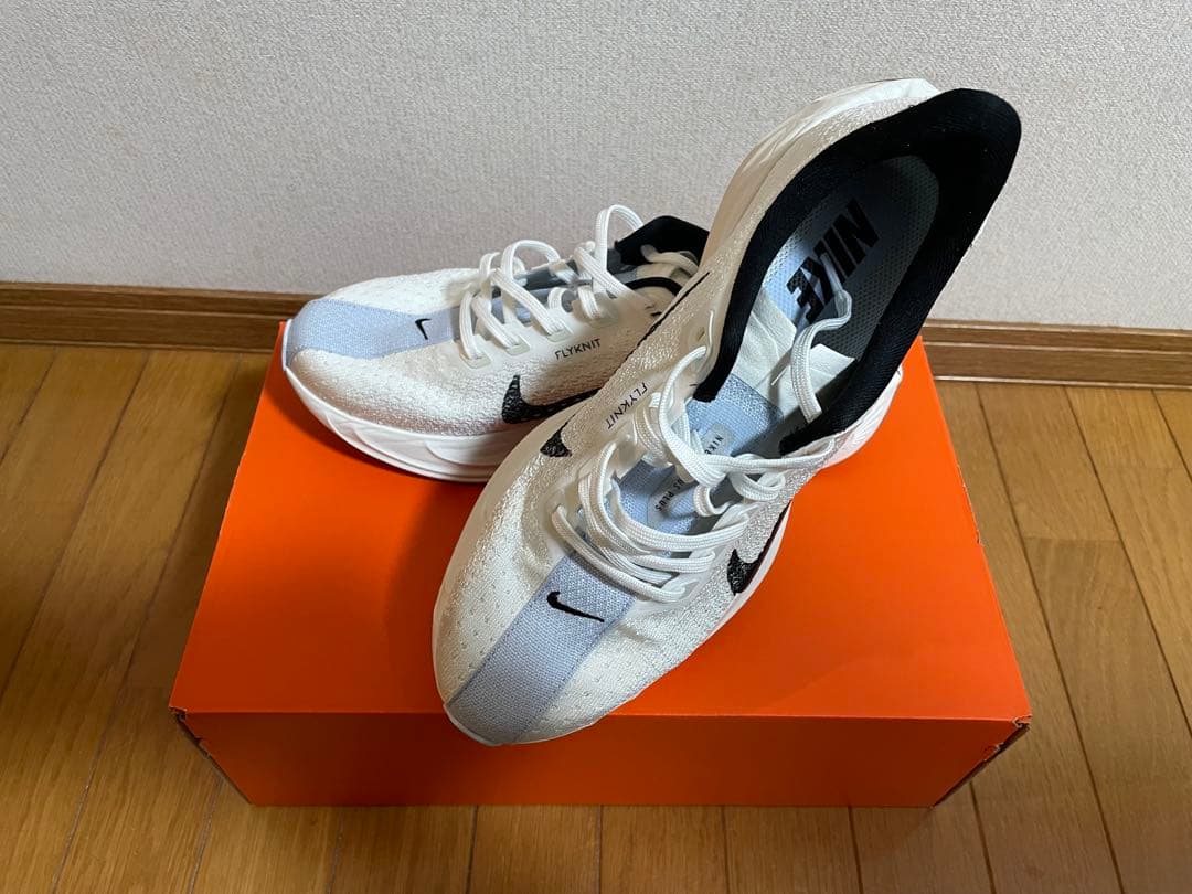 ナイキ ペガサス プラス W 25.0㎝