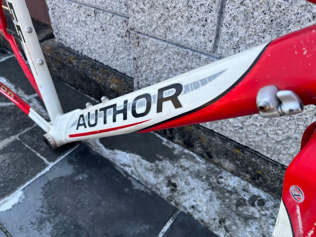 AUTHOR A55 サイズ480 フレーム